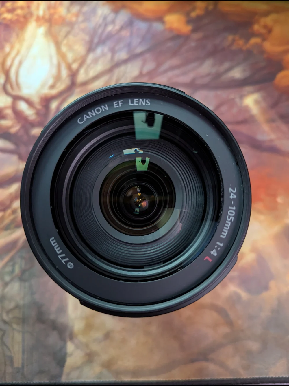 Canon 24 105mm